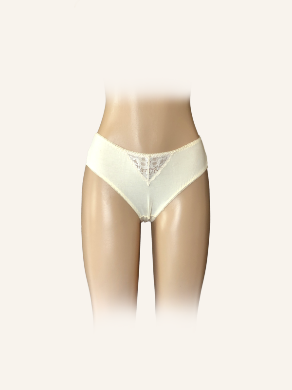 Lace Trimmed Brief