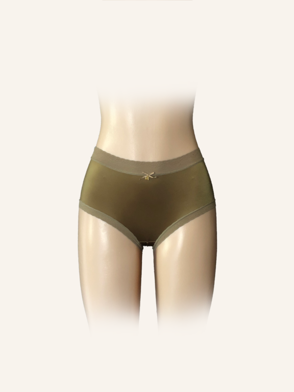 High-Waisted Satin Briefs with Lace Trim