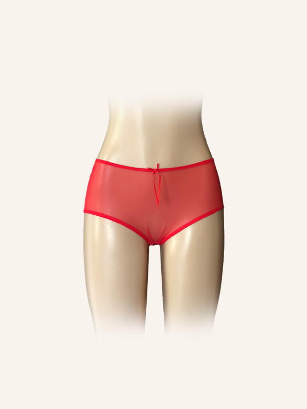 Sheer Satin High-Waisted Panty with Bow