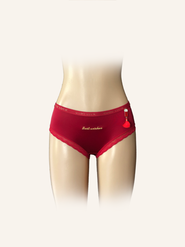 Festive Red High-Waist Briefs with Embroidery